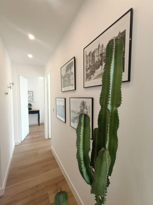 The Chic Liberation Apartment นีซ ภายนอก รูปภาพ